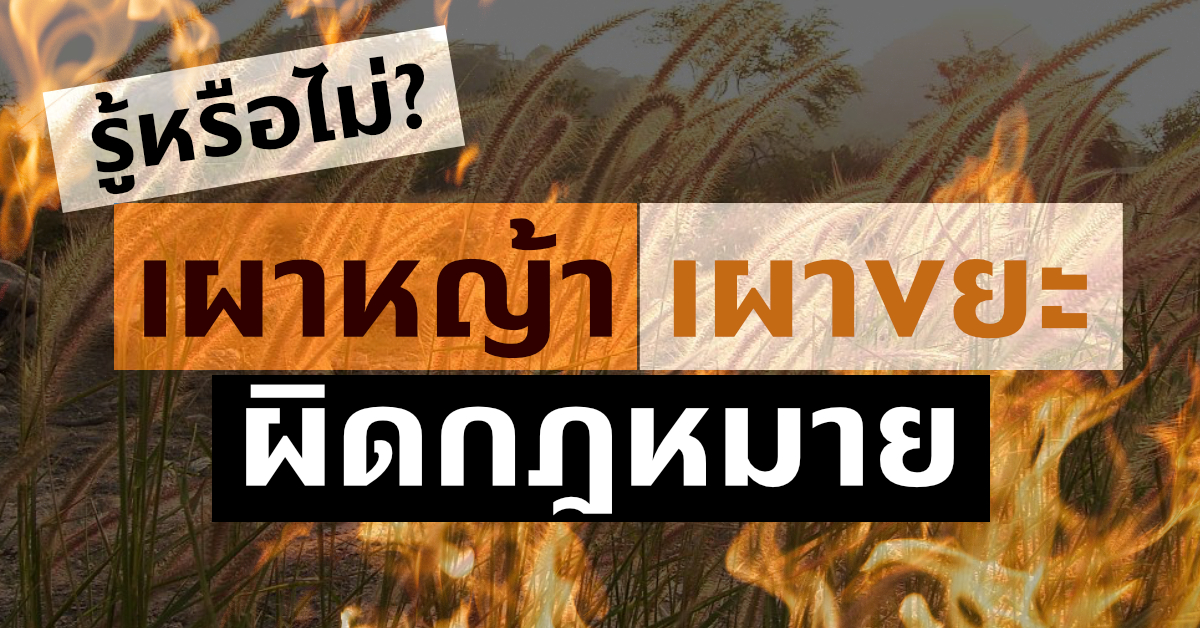 ประชาสัมพันธ์ห้ามบุคคลทำการเผาในที่โล่ง ตั้งแต่ 1 ธันวาคม 2561 ถึง 31 พฤษภาคม 2567