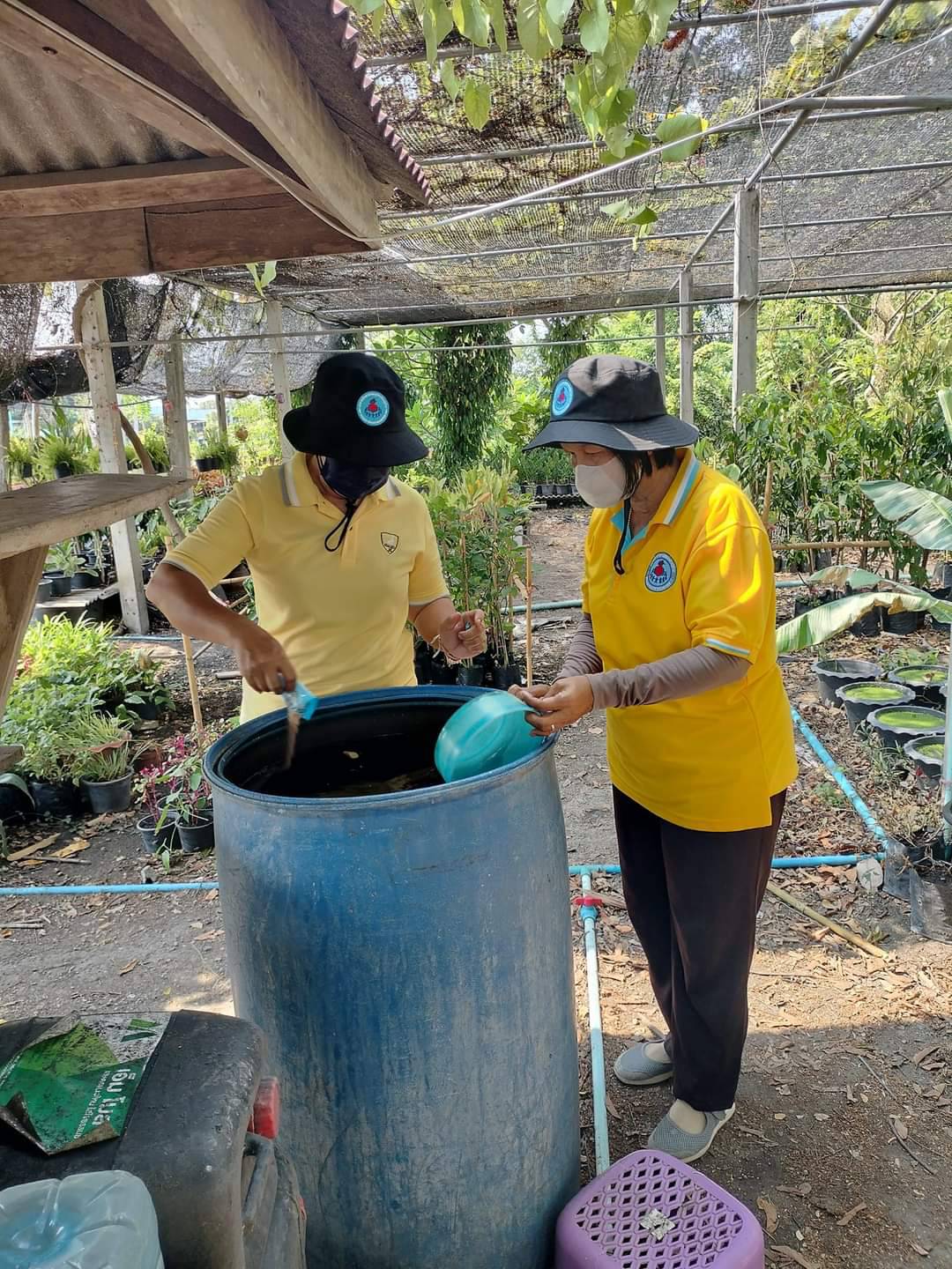 โครงการส่งเสริมเฝ้าระวังโรคไข้เลือดออกเชิงรุกในชุมชนตำบลหนองแขม
