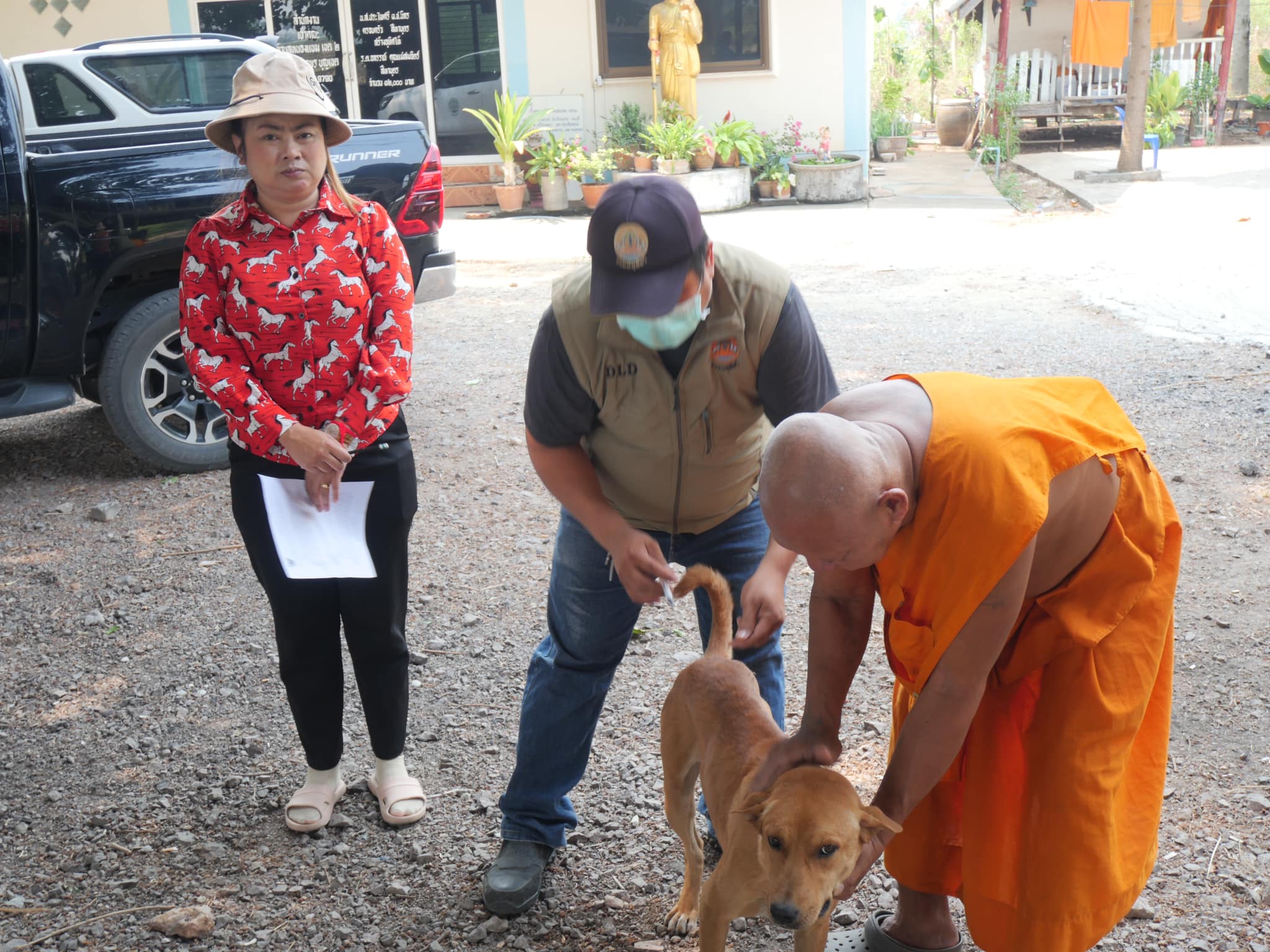 โครงการรณรงค์ฉีดวัคซีนป้องกันโรคพิษสุนัขบ้าให้กับสุนัขและแมว