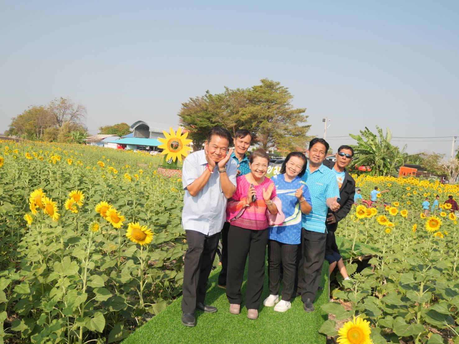 อบต.หนองแขม ขอเชิญชวนนักท่องเที่ยว เข้ามาเช็คอินถ่ายรูปกับทุ่งดอกทานตะวันและทุ่งคอสมอส