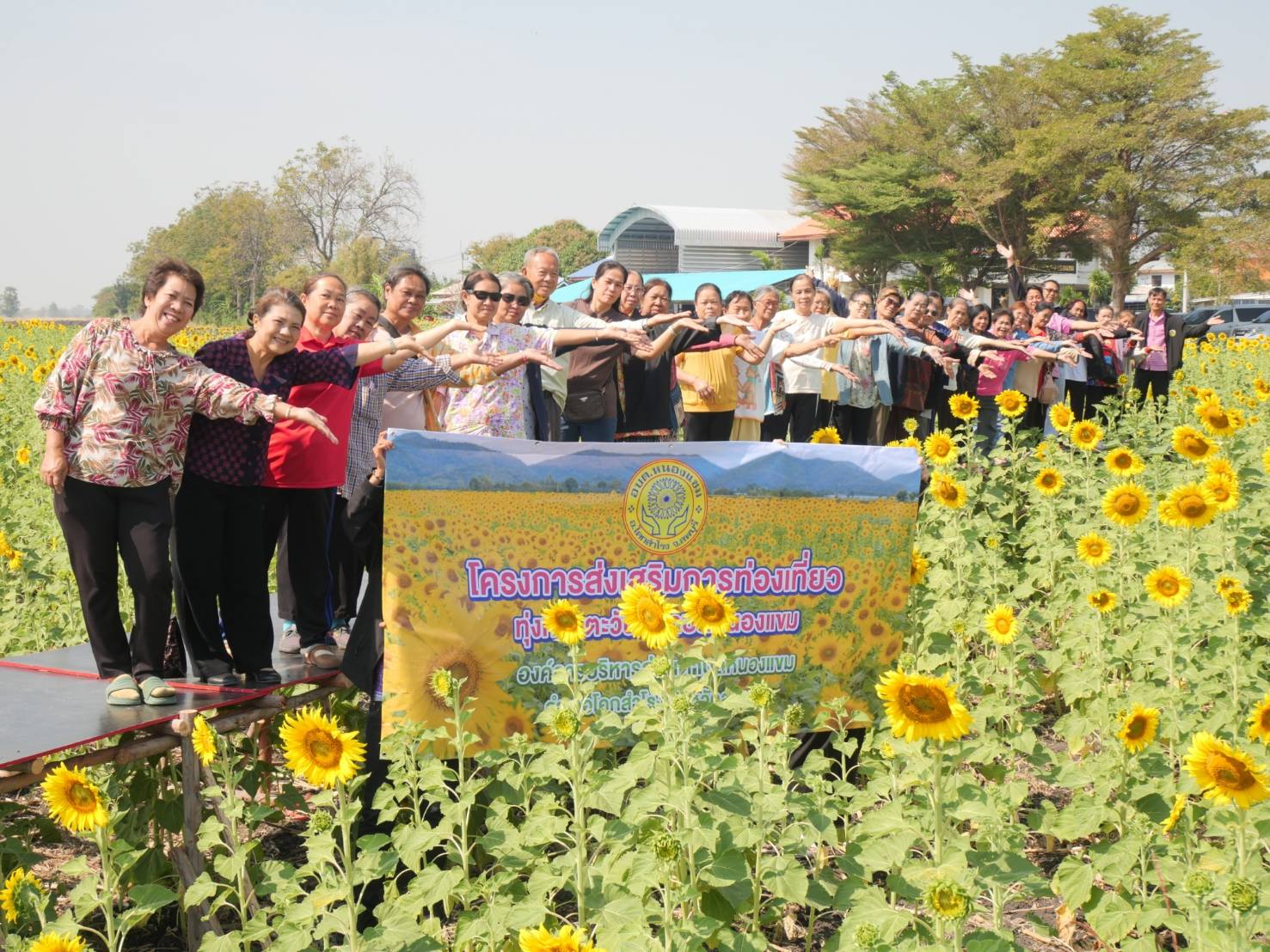 โครงการส่งเสริมการท่องเที่ยว ทุ่งทานตะวันที่ตำบลหนองแขม