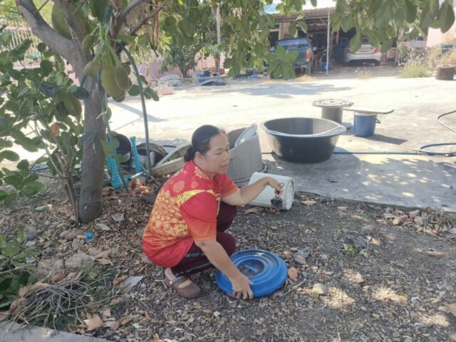 38f0b013-8b66-4e1f-a81a-c532a30e5ca0