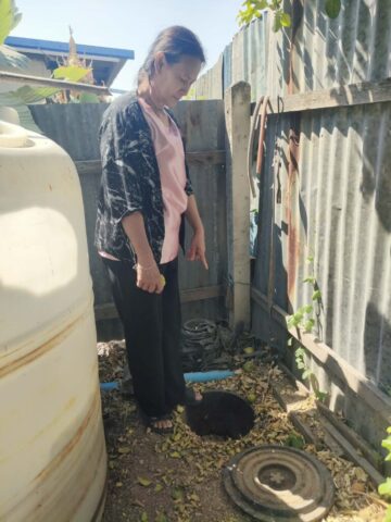 43939bcd-6cd3-4a98-8f22-df4de9171200