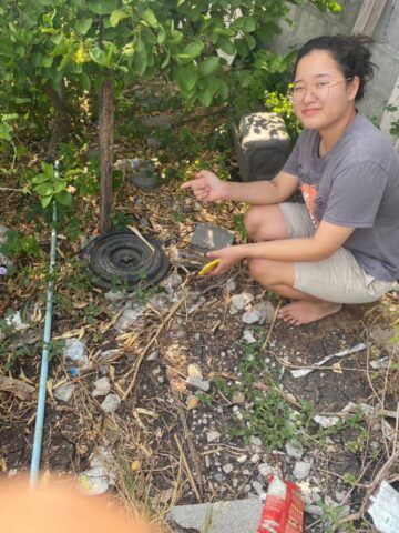 9d02fbbf-5993-4e13-9670-74e9fee30535